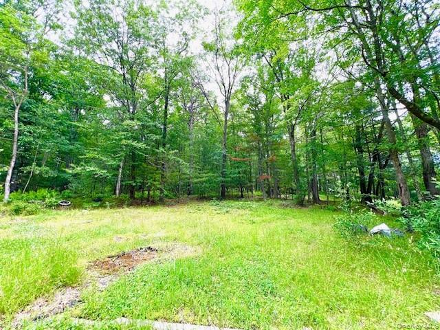 7584 N Route 97 S, Narrowsburg, NY 12764