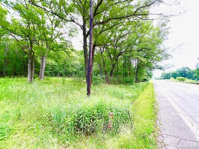 7584 N Route 97 S, Narrowsburg, NY 12764