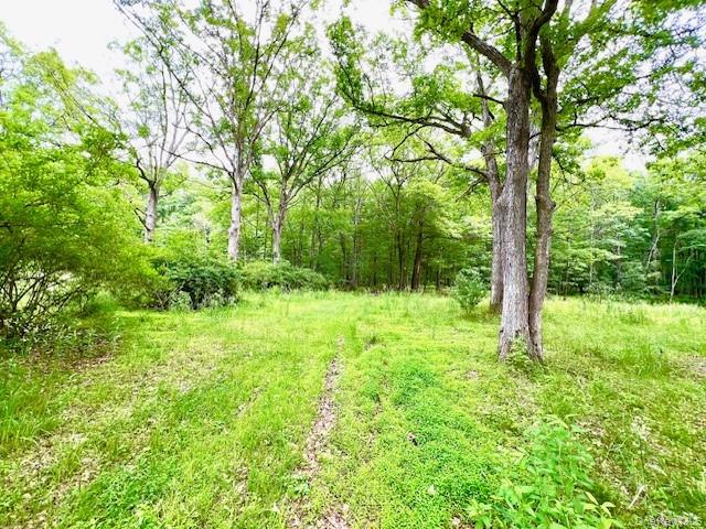 7584 N Route 97 S, Narrowsburg, NY 12764