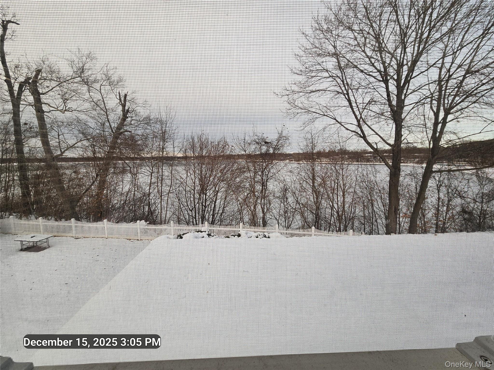 1 Beech Drive # 5, Ronkonkoma, NY 11779