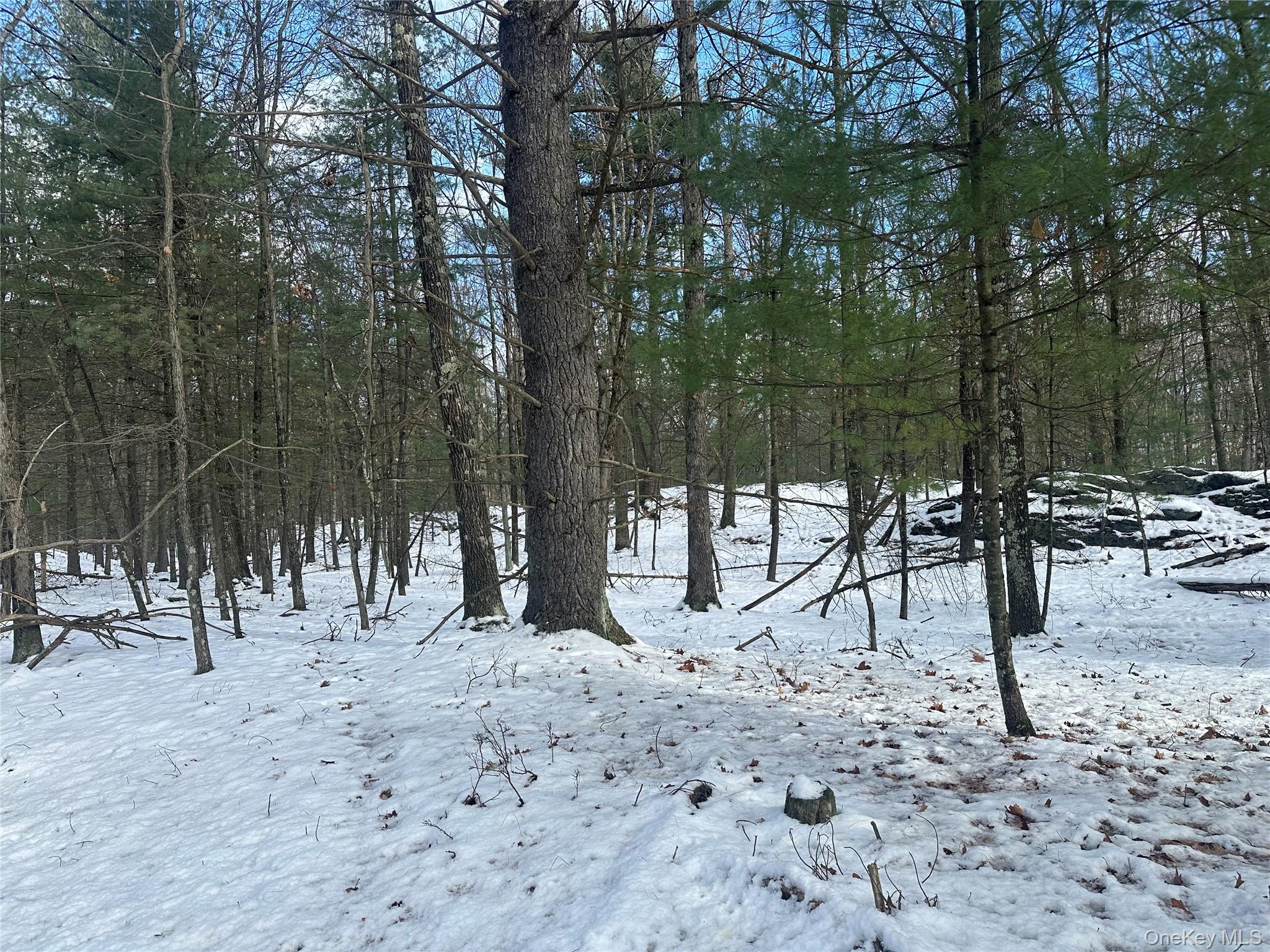 Cedar Drive, Elizaville, NY 12523