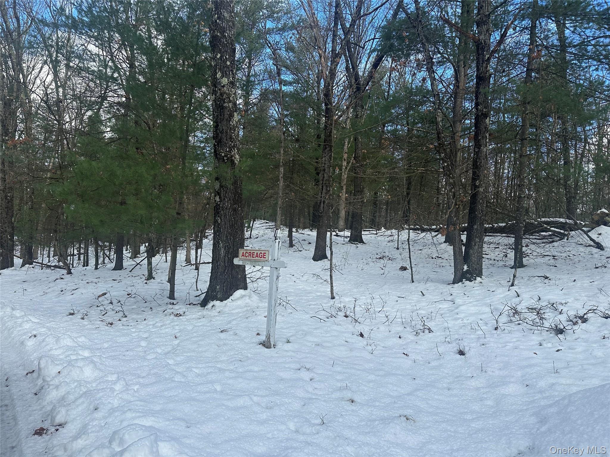 Cedar Drive, Elizaville, NY 12523