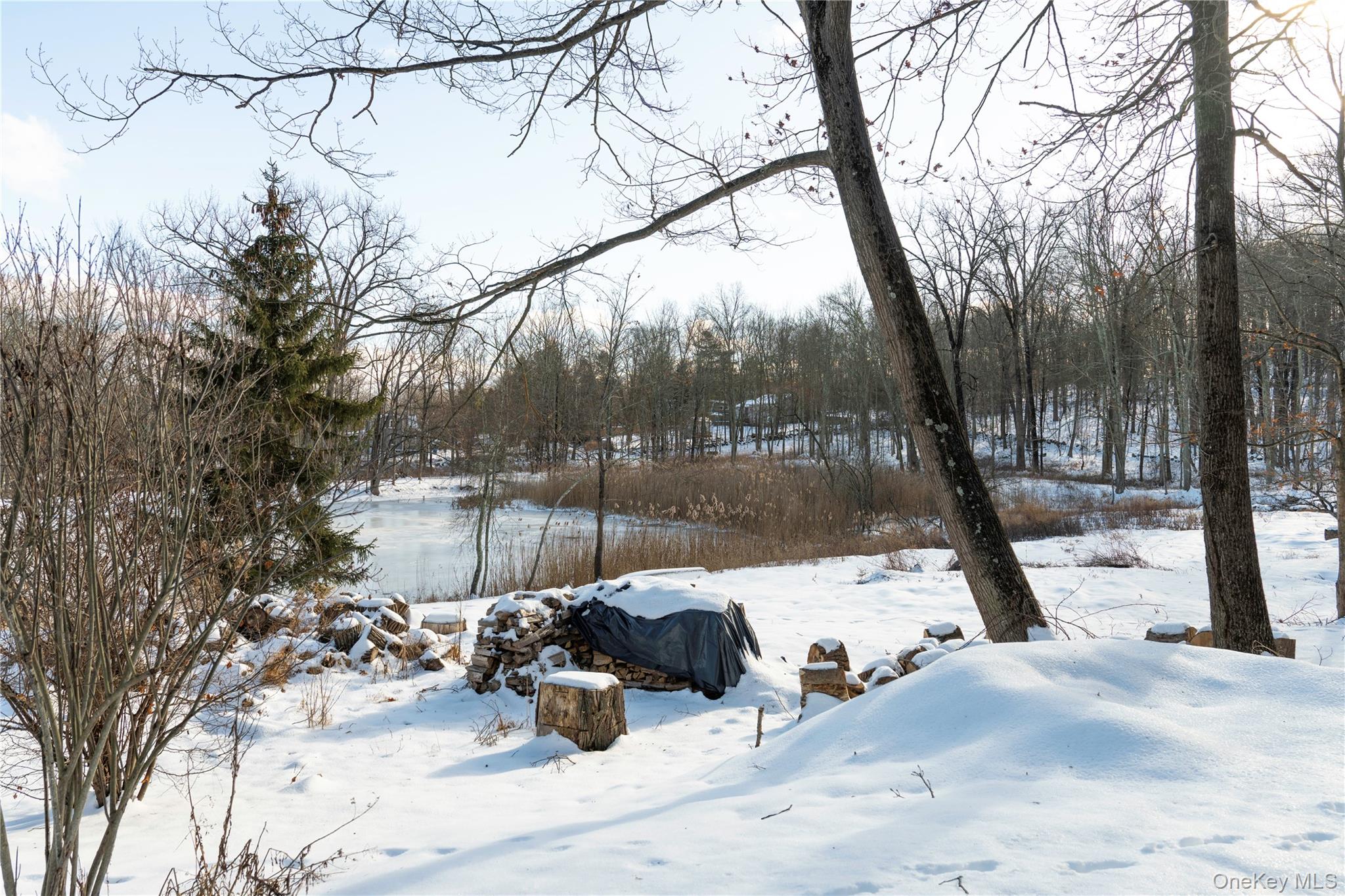 50 McLaughlin Drive, Mahopac, NY 10541