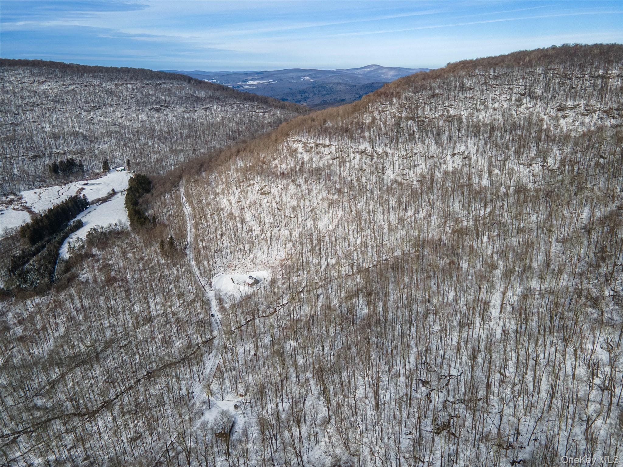 499 Cross Mountain Road, Livingston Manor, NY 12758