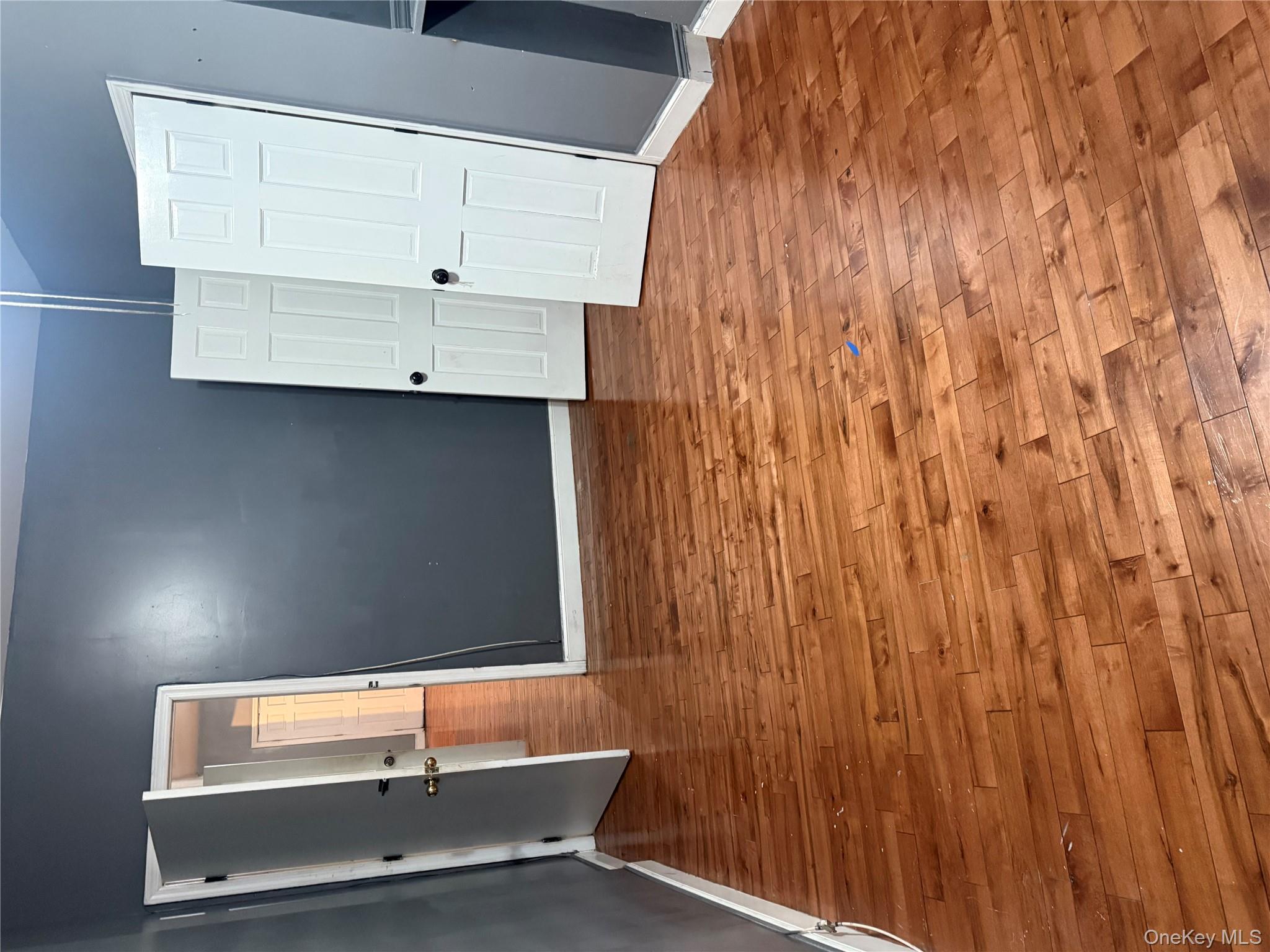 169 Euclid Avenue, Brooklyn, NY 11208