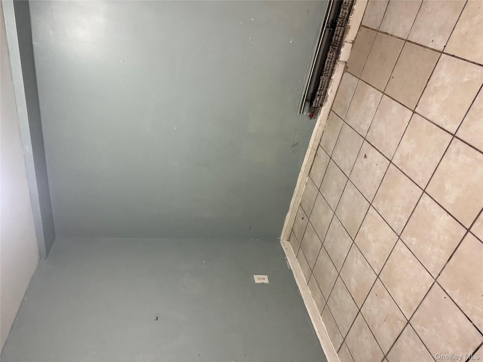 169 Euclid Avenue, Brooklyn, NY 11208