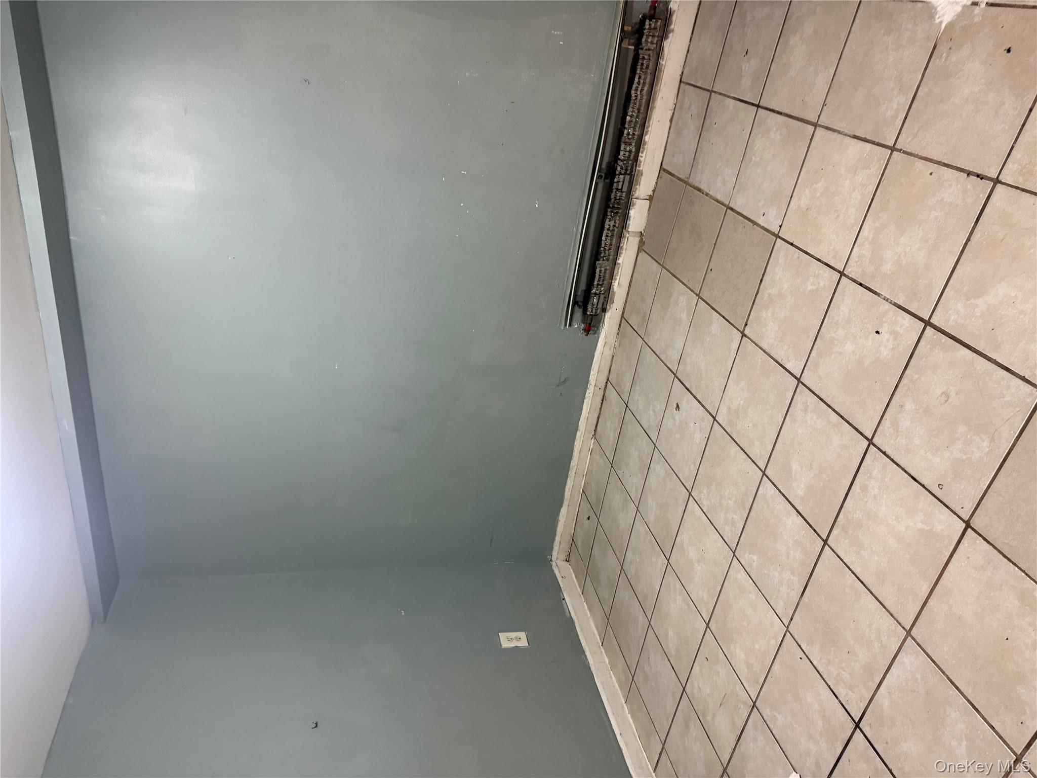 169 Euclid Avenue, Brooklyn, NY 11208