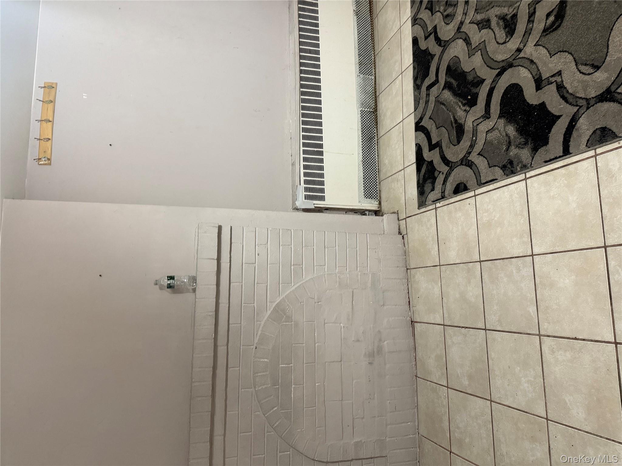 169 Euclid Avenue, Brooklyn, NY 11208