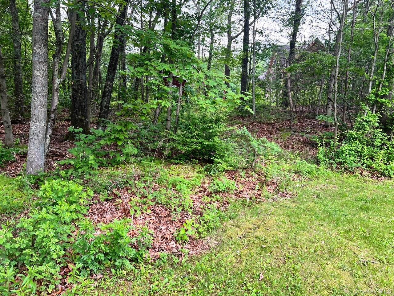 36 Sylvia Barlow Way, Brewster, NY 10509