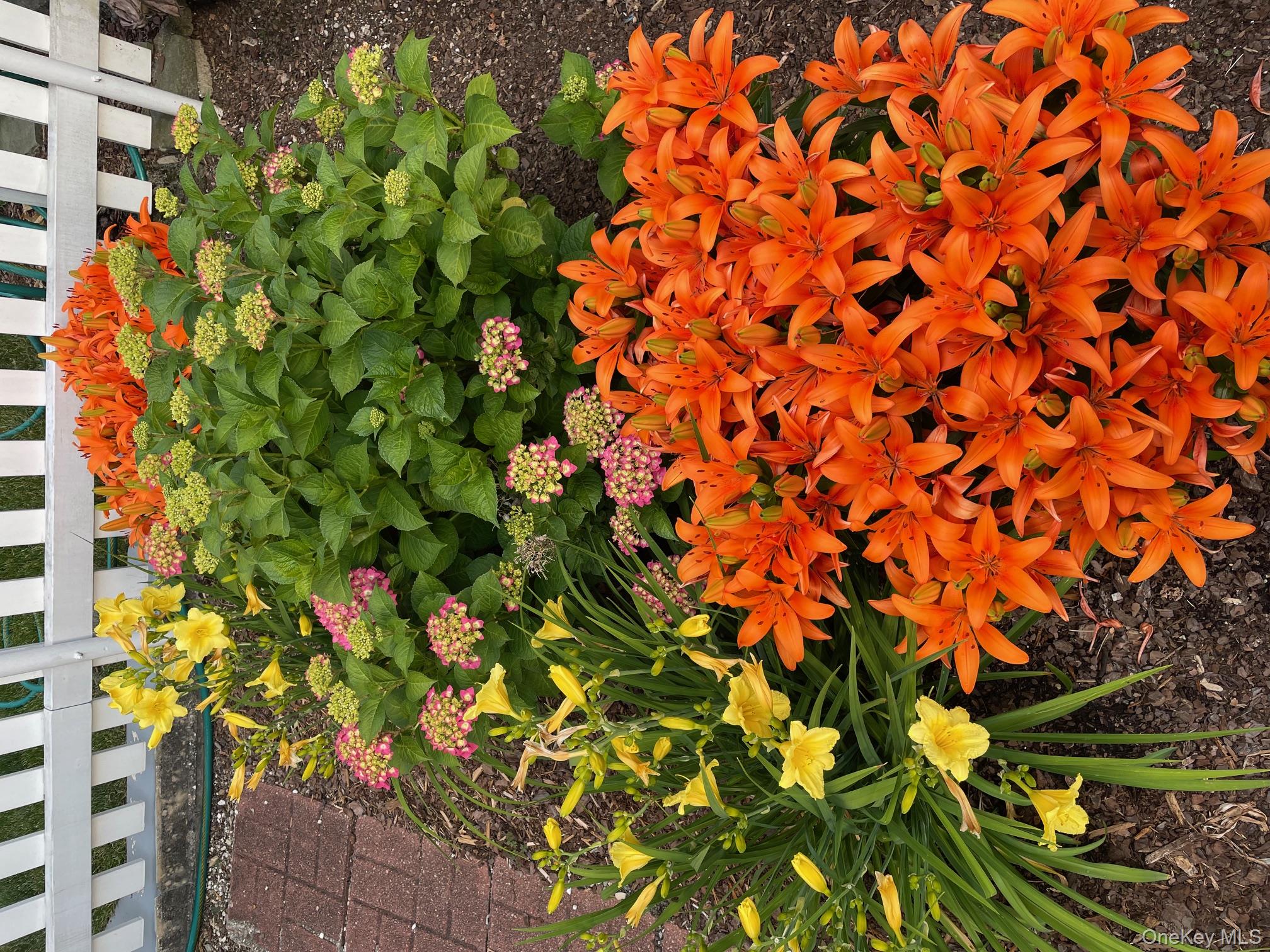 64 S Hillside Place, Elmsford, NY 10523