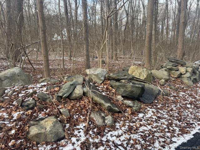 Eder Road, Stormville, NY 12582