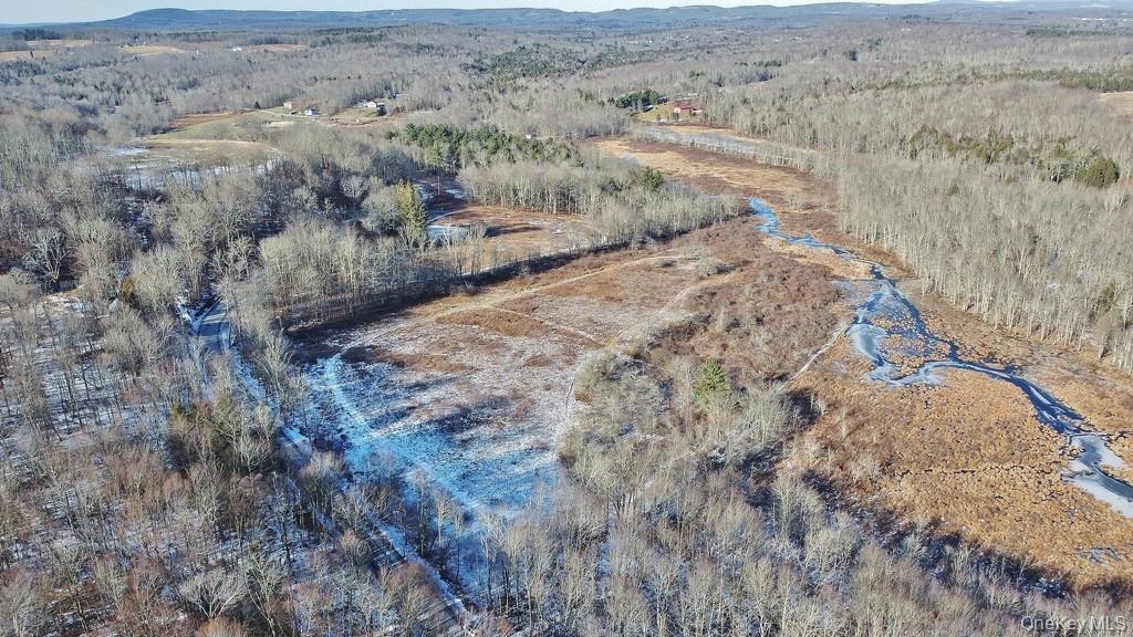 000 Mongaup Road, Fallsburg, NY 12733