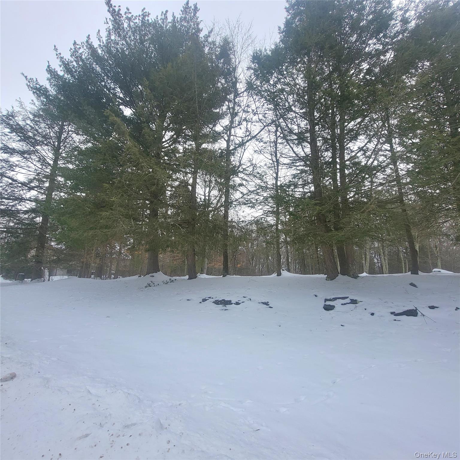 000 Roslyn Ridge Road, Mongaup Valley, NY 12720