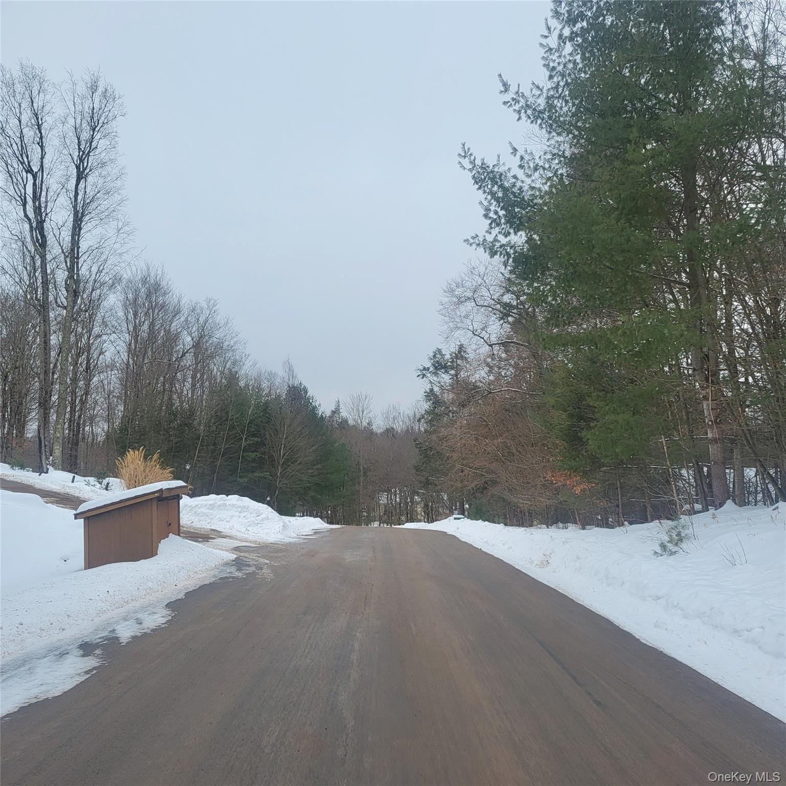 000 Roslyn Ridge Road, Mongaup Valley, NY 12720