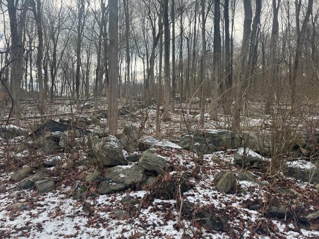 Lot 3  Eder, Stormville, NY 12582