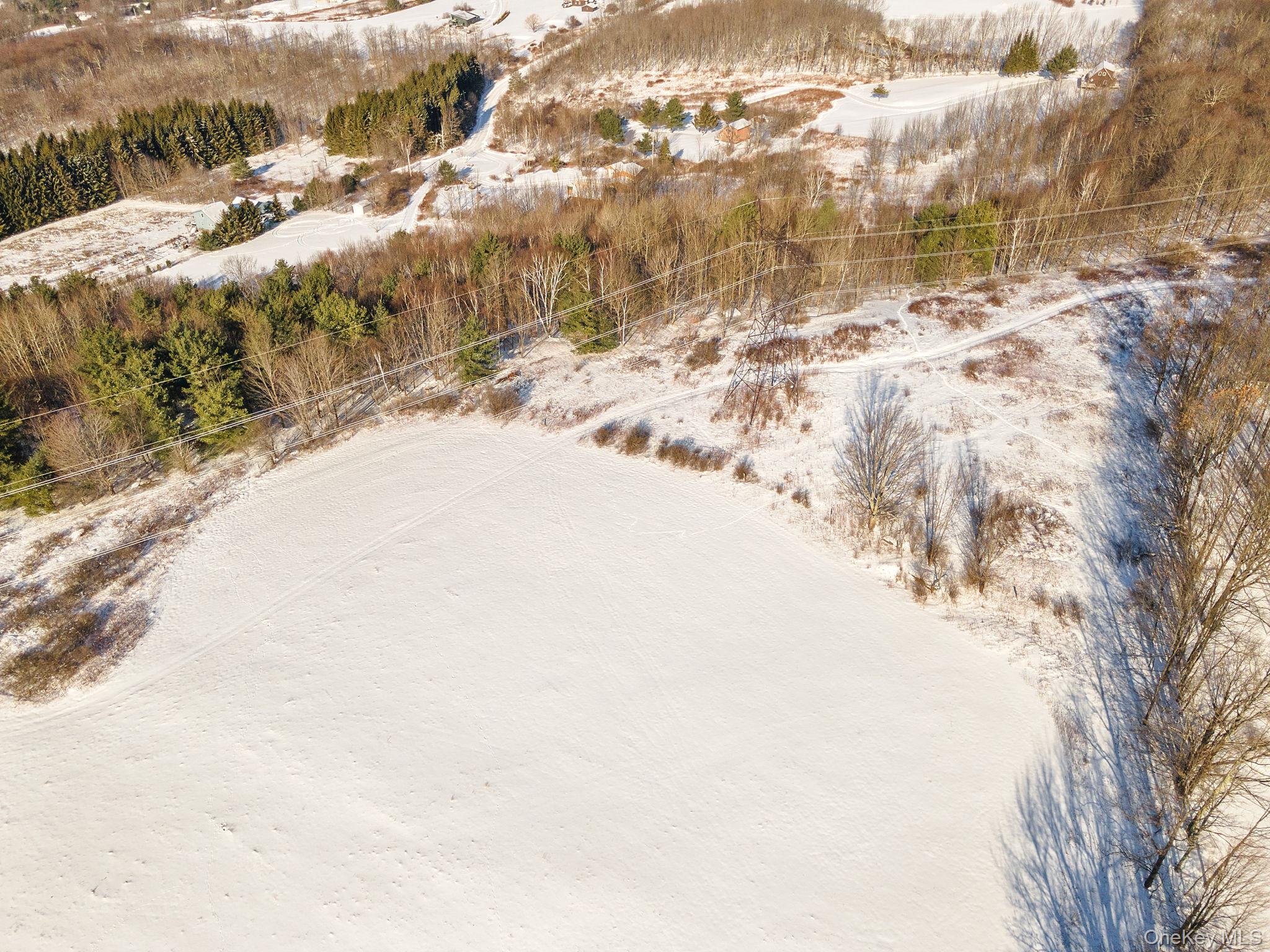 250 Doc Stark Lane, Stamford, NY 12167