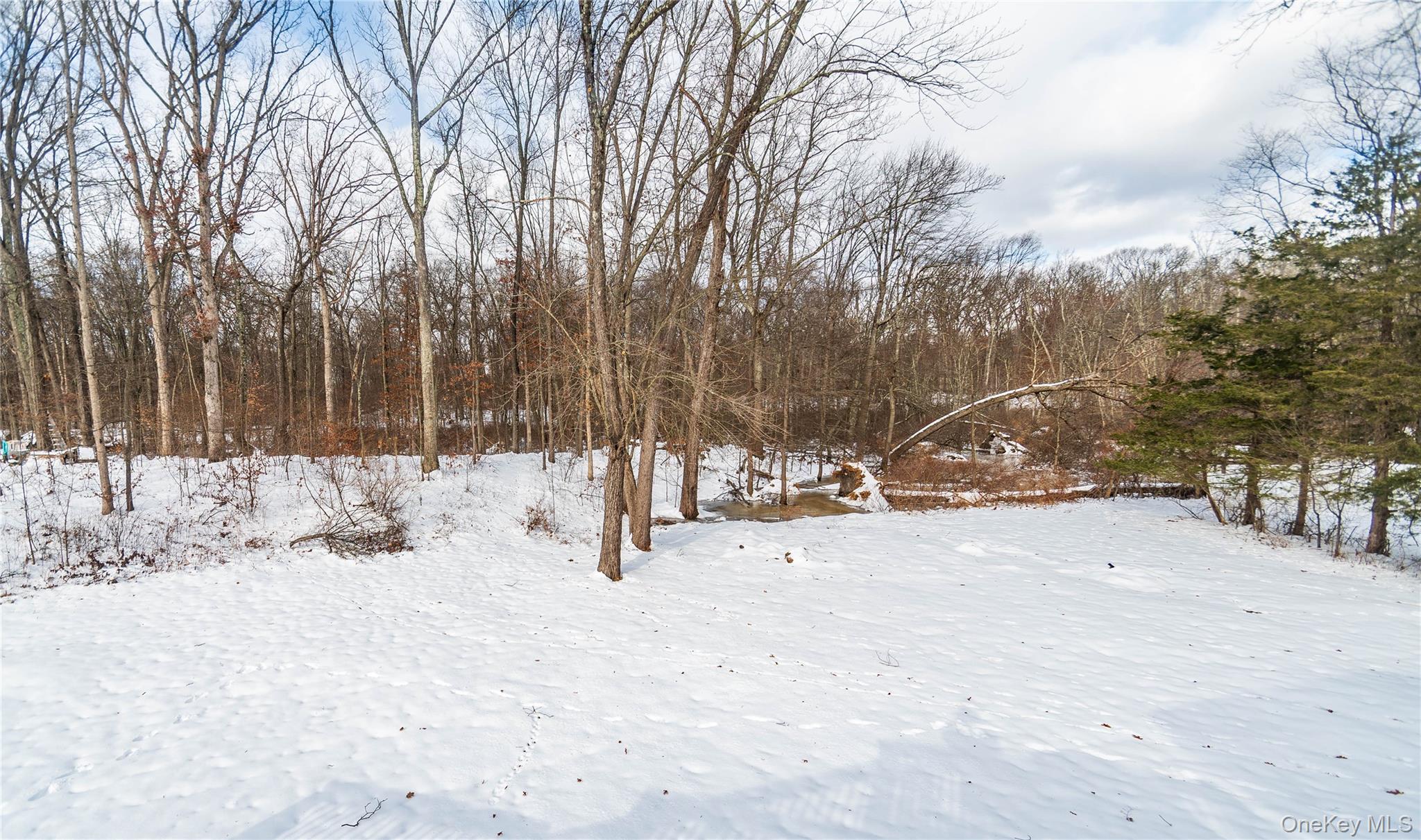 32 Elizabeth Drive, Hopewell Junction, NY 12533