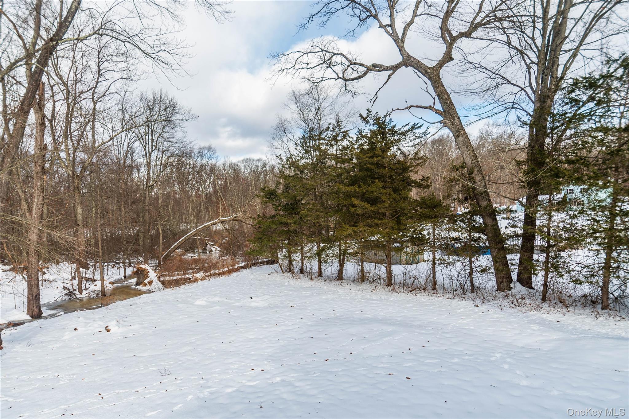 32 Elizabeth Drive, Hopewell Junction, NY 12533