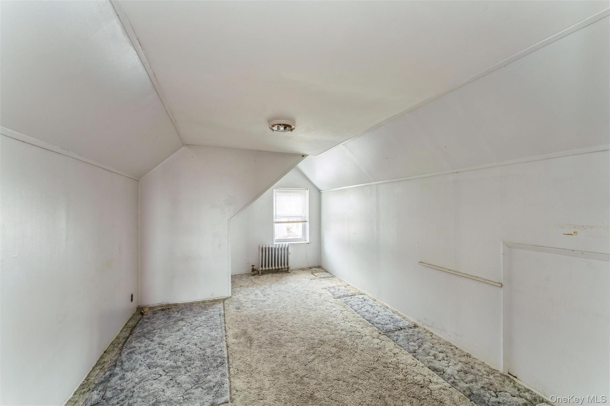 1119 Theodora Street, Franklin Square, NY 11010