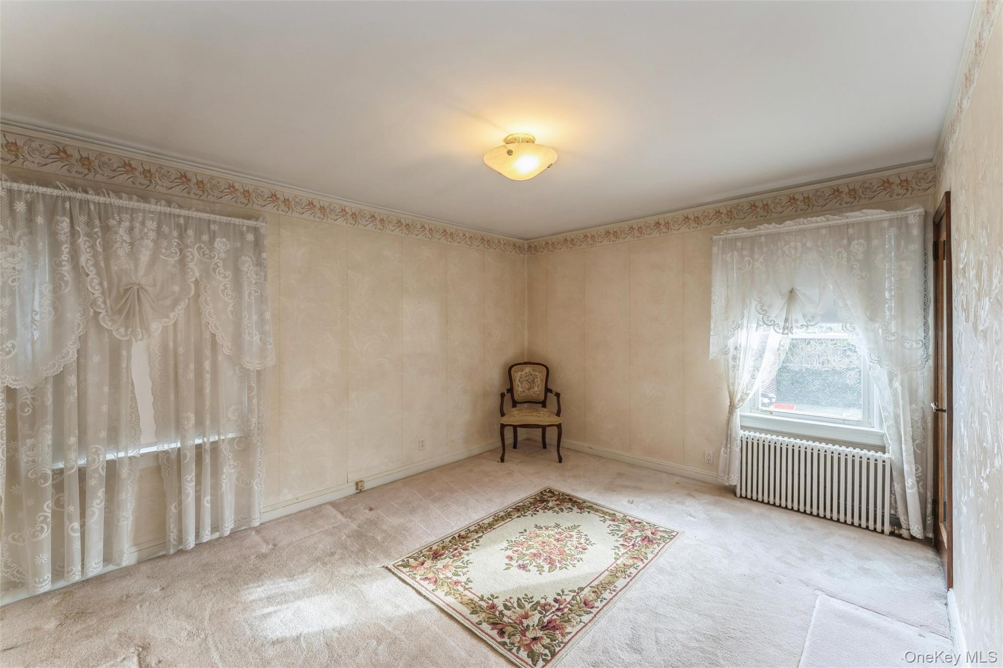 1119 Theodora Street, Franklin Square, NY 11010