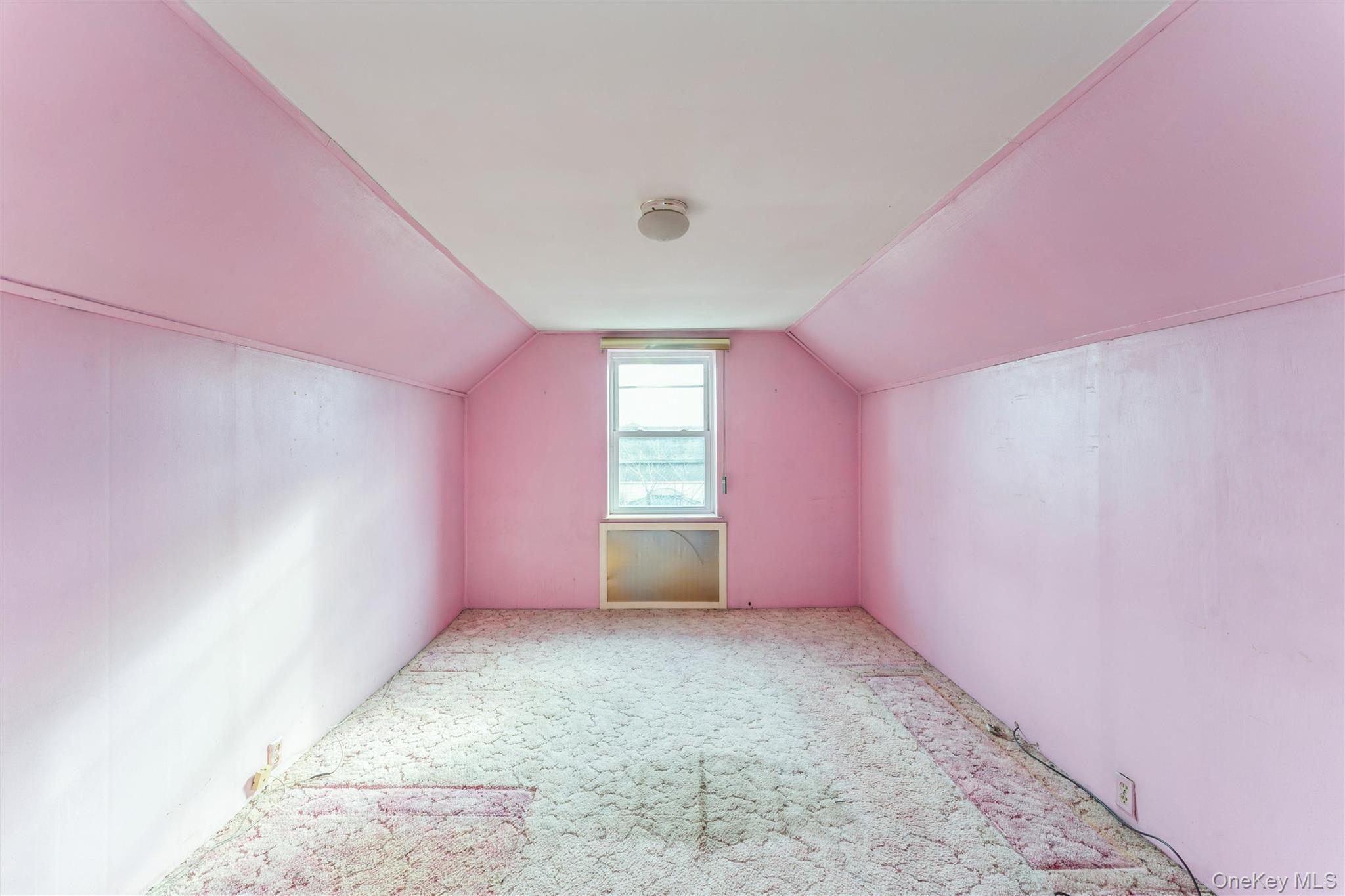 1119 Theodora Street, Franklin Square, NY 11010