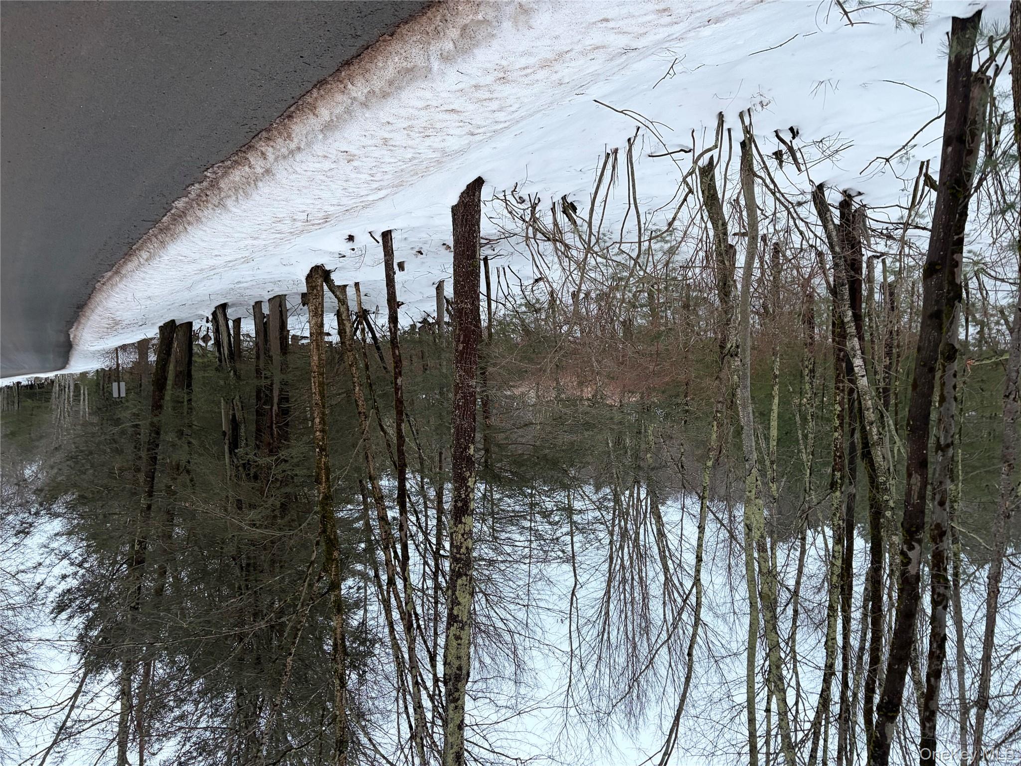 00 Moscoe Road, Bethel, NY 12720