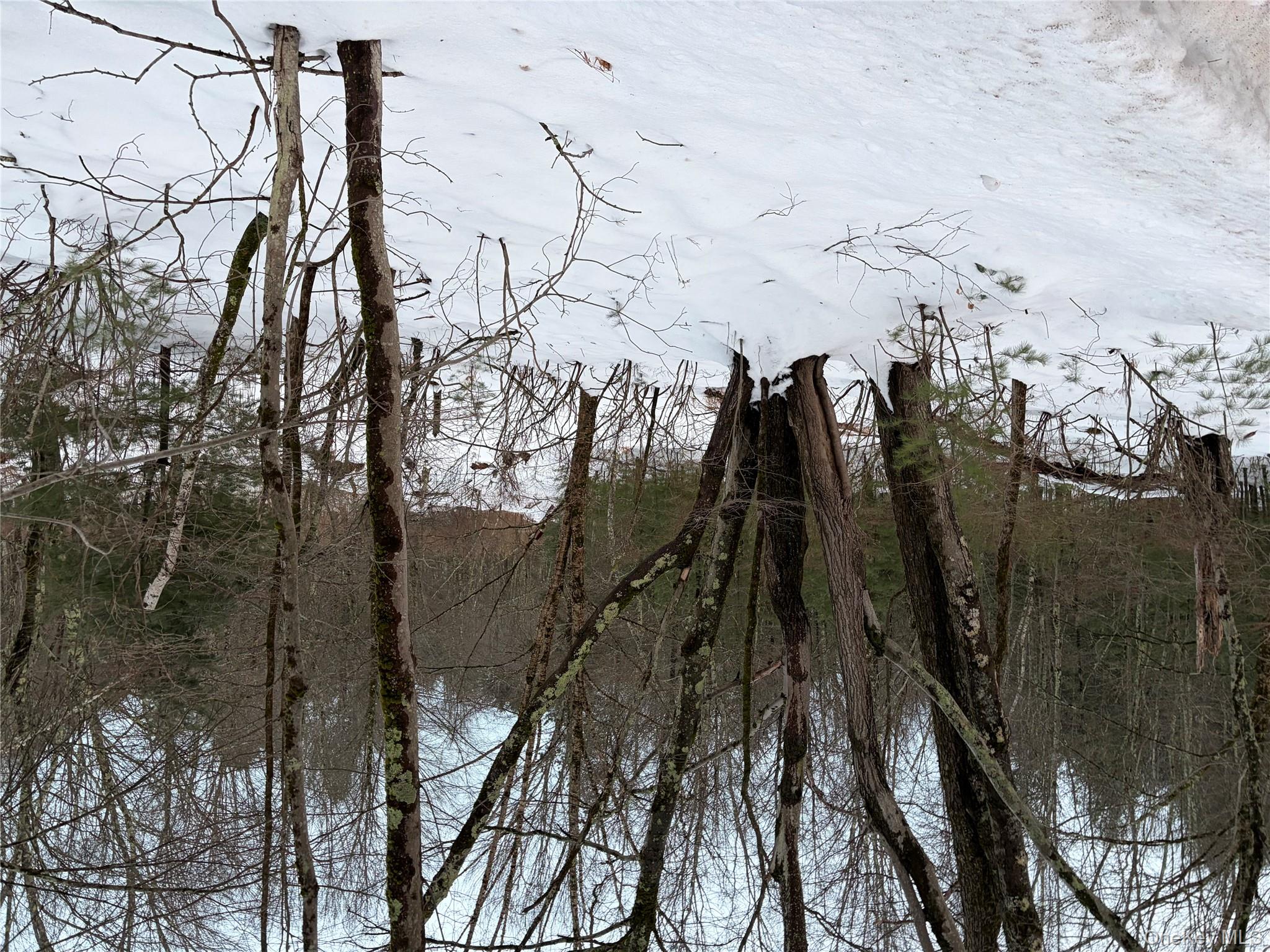 00 Moscoe Road, Bethel, NY 12720