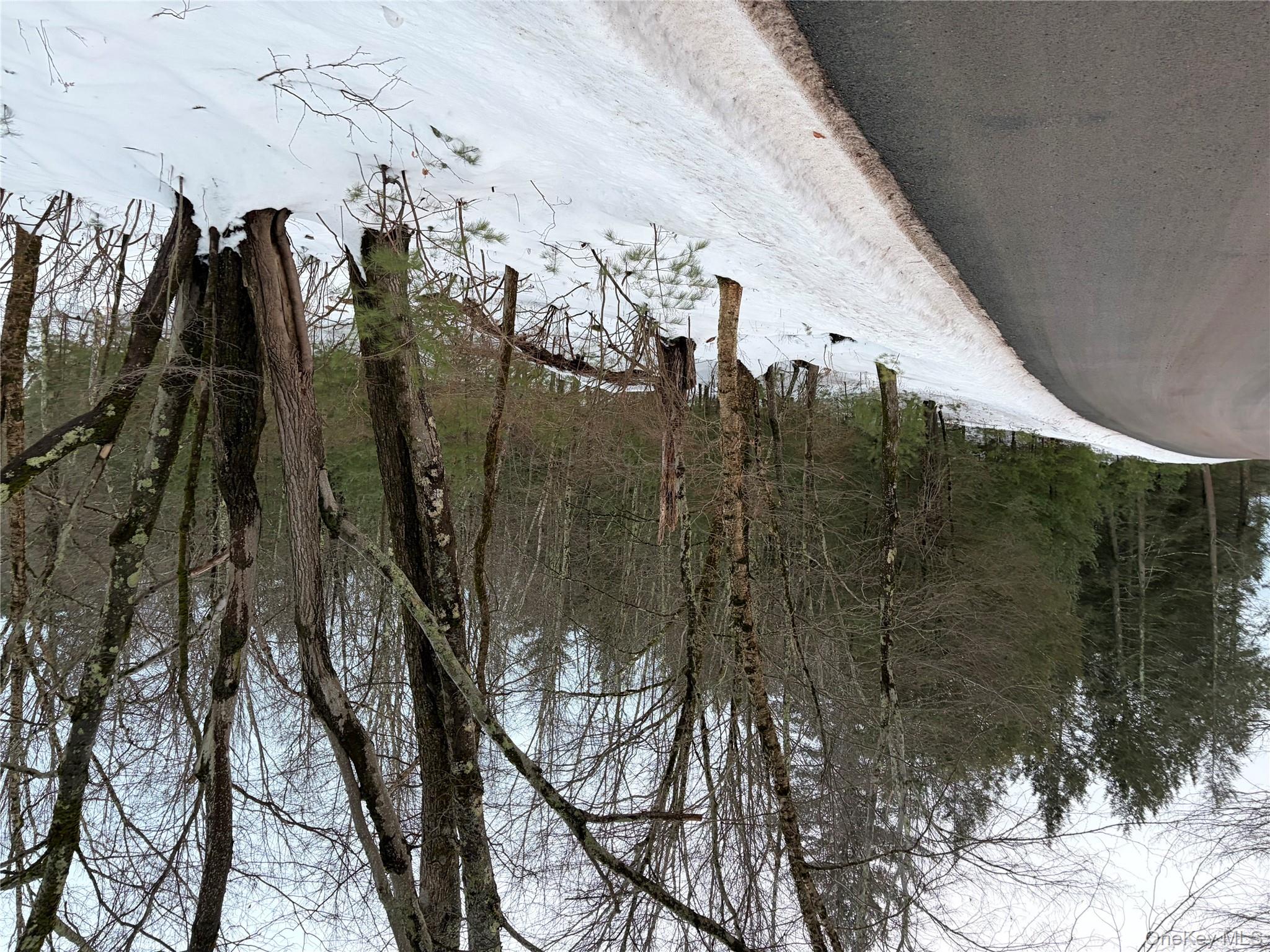 00 Moscoe Road, Bethel, NY 12720