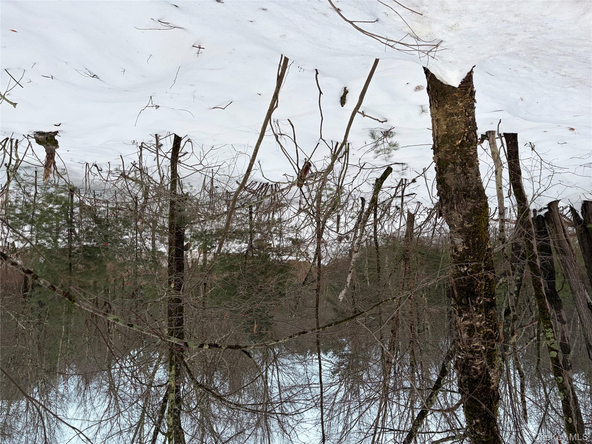 00 Moscoe Road, Bethel, NY 12720