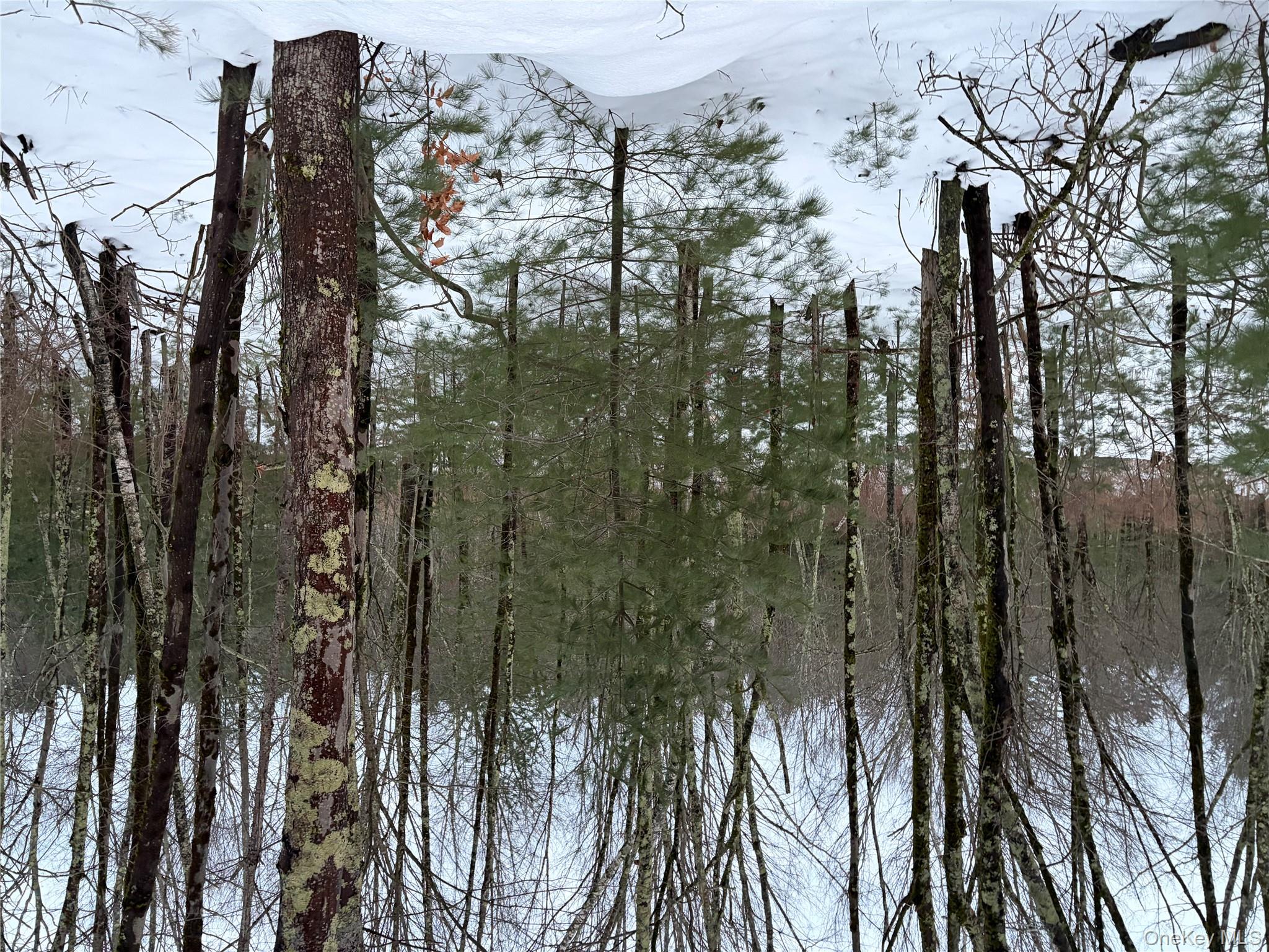 00 Moscoe Road, Bethel, NY 12720