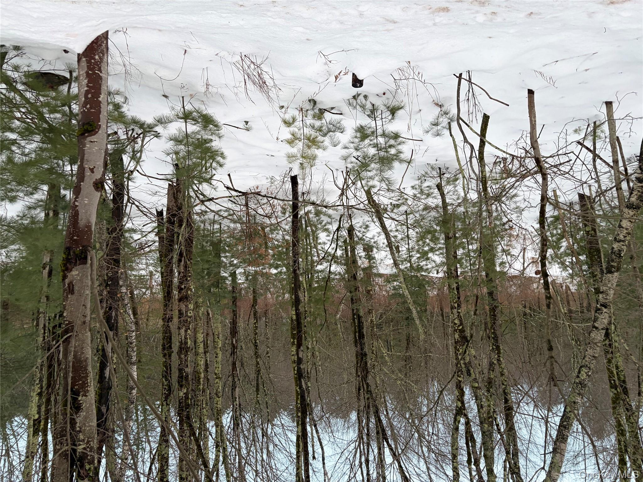 00 Moscoe Road, Bethel, NY 12720