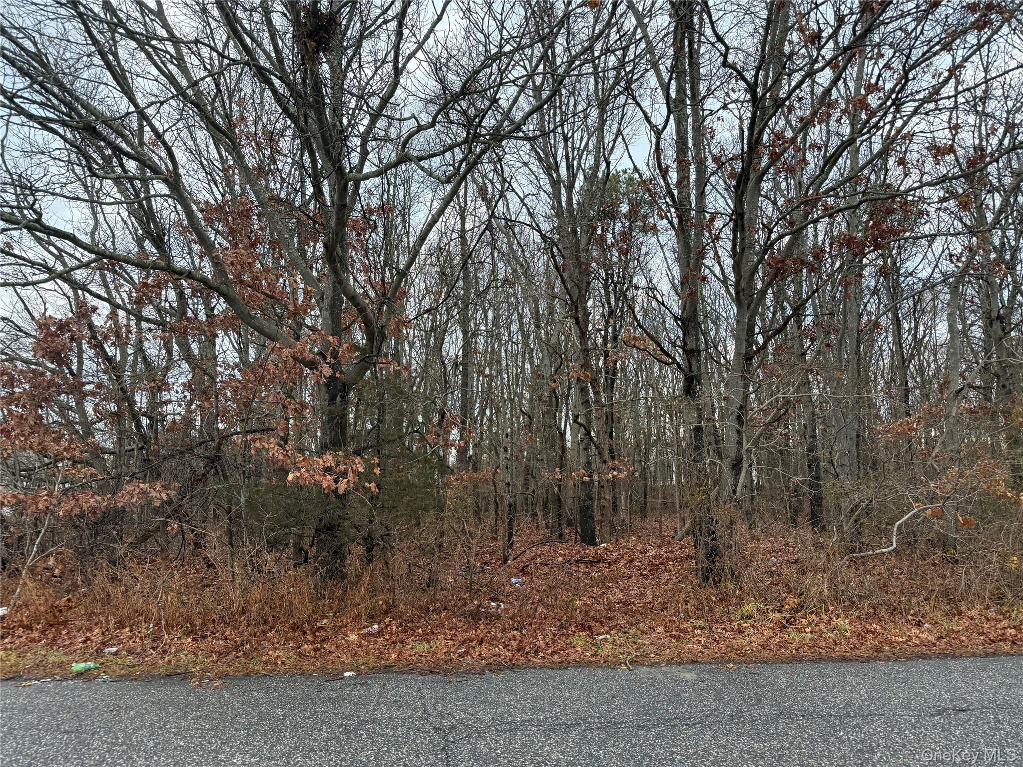 Palmetto Drive, Shirley, NY 11967