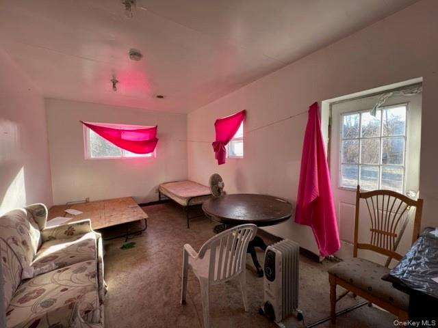 41 Bierstine Lane, Pine Island, NY 10969