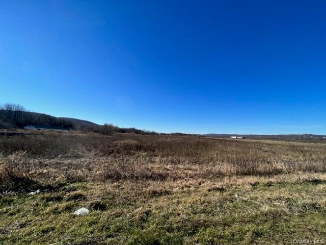 41 Bierstine Lane, Pine Island, NY 10969