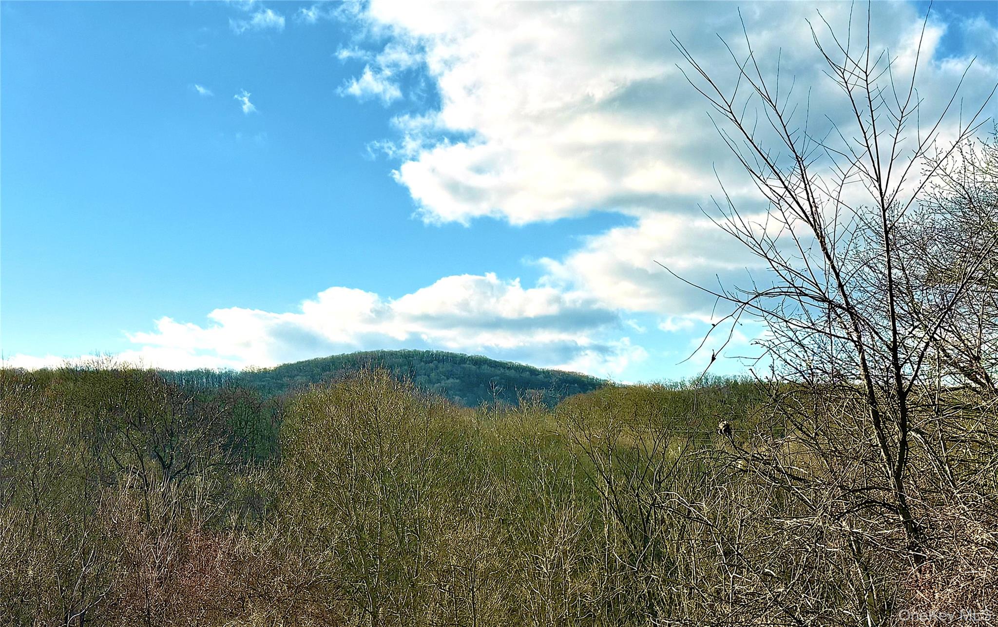 40 Walnut Street, Pawling, NY 12564