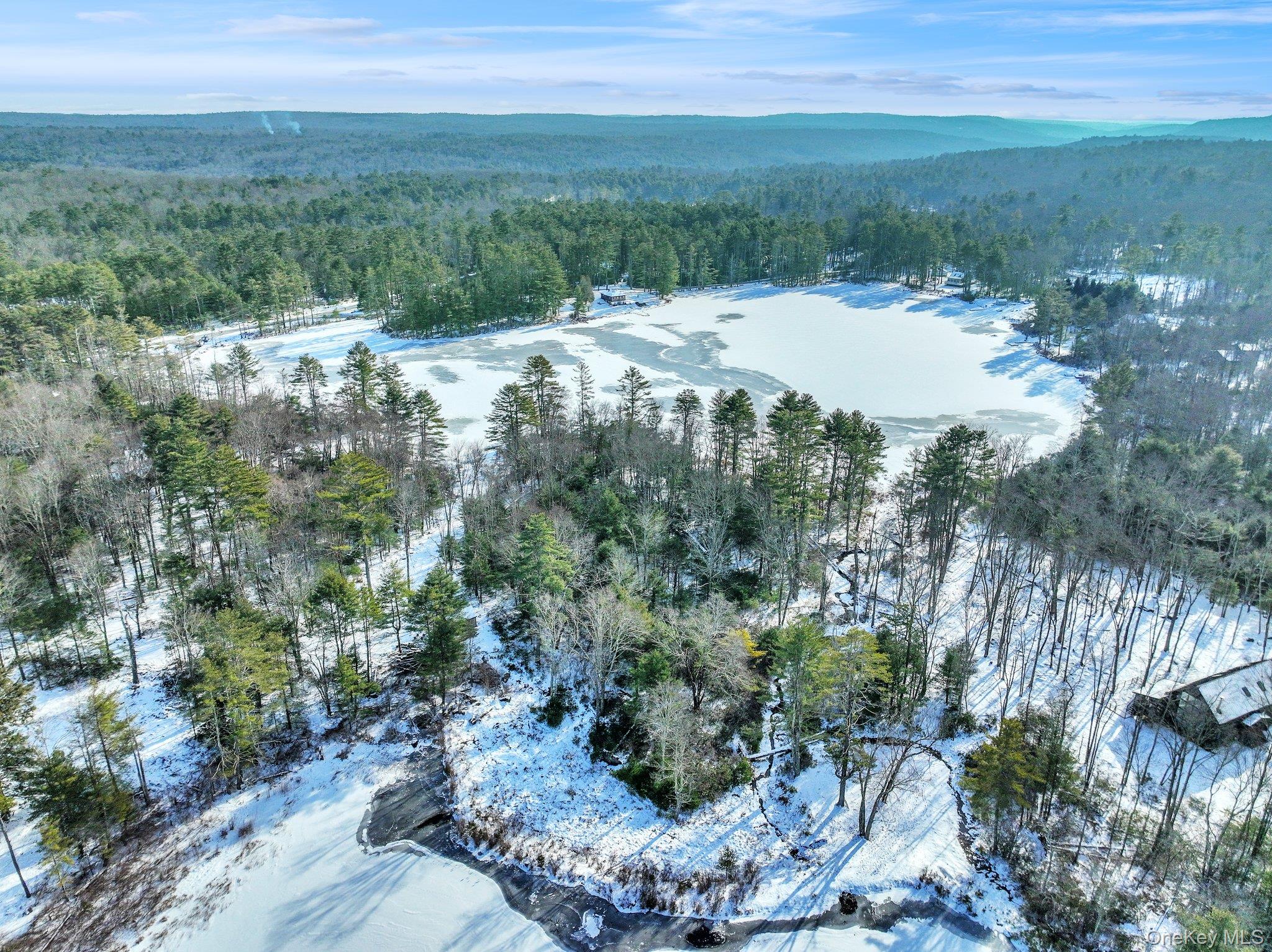 Lot 11.1 State Route 55 and Mail Road, Barryville, NY 12719