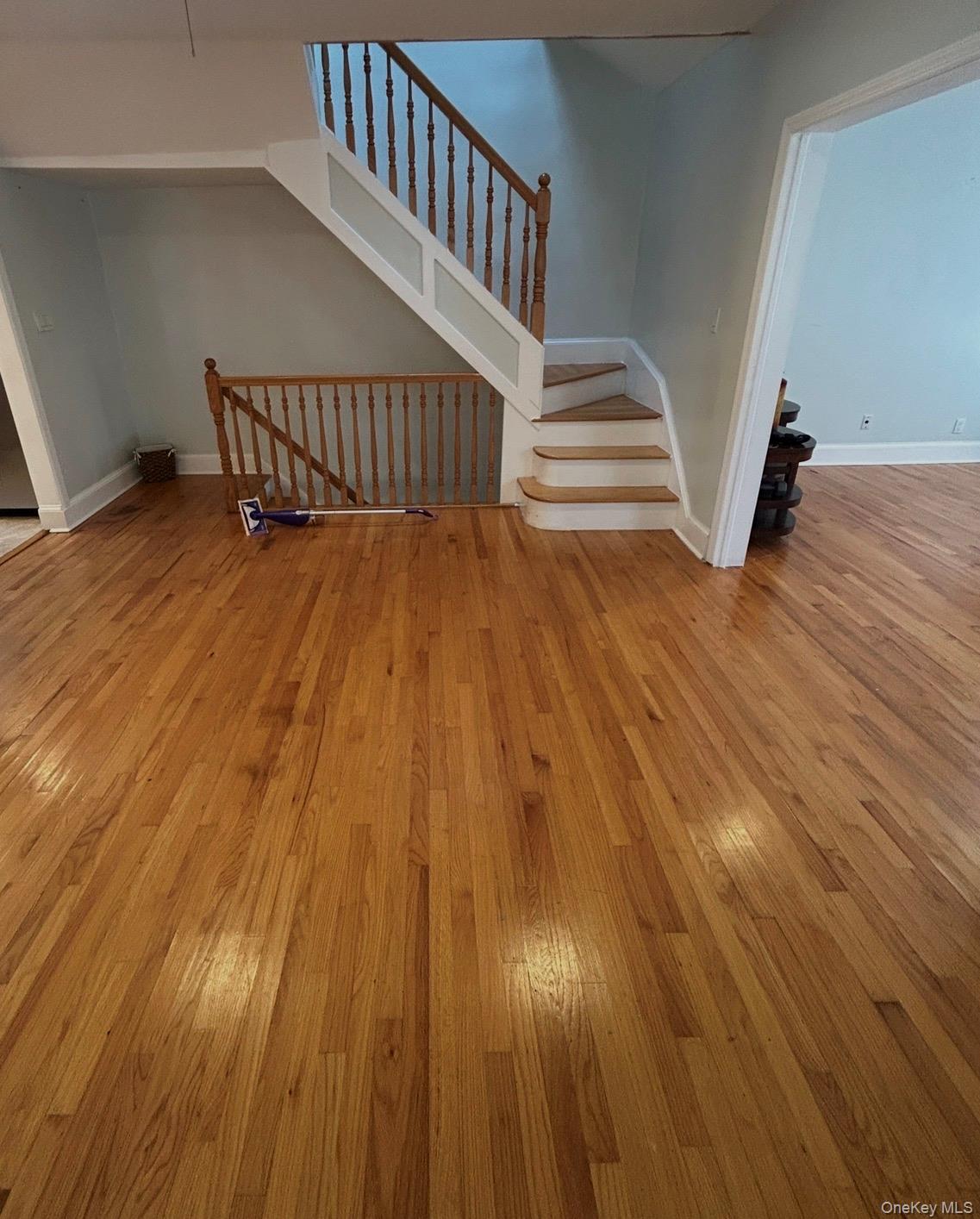 227 Calhoun Avenue, Bronx, NY 10465