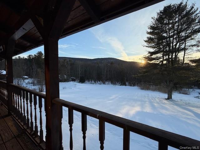 5597 Red Hill Road, Claryville, NY 12725