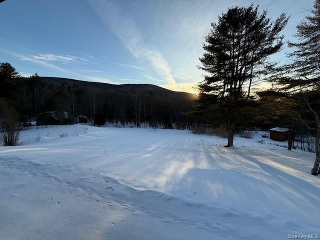 5597 Red Hill Road, Claryville, NY 12725