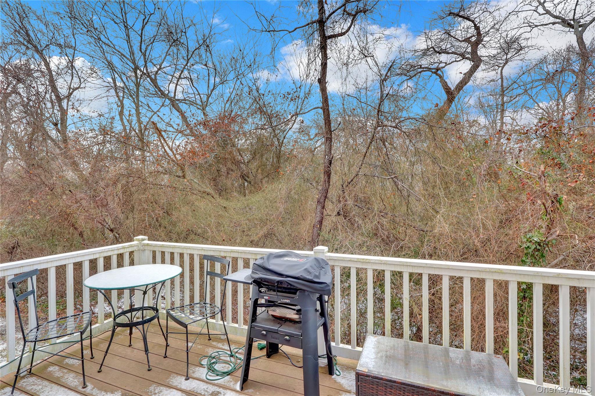 67 Warwick Drive, Massapequa, NY 11758