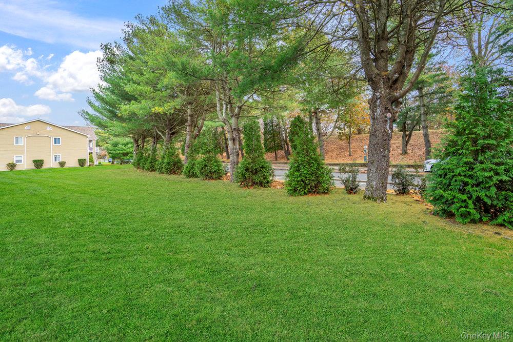 824 Birchwood Park Drive, Middle Island, NY 11953