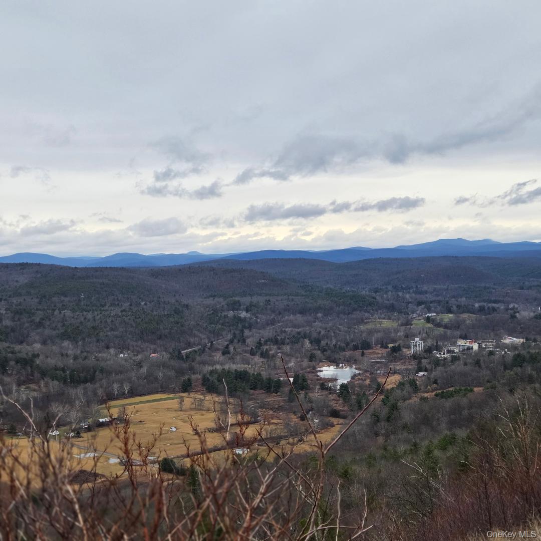 112 State Route 55, Napanoch, NY 12458