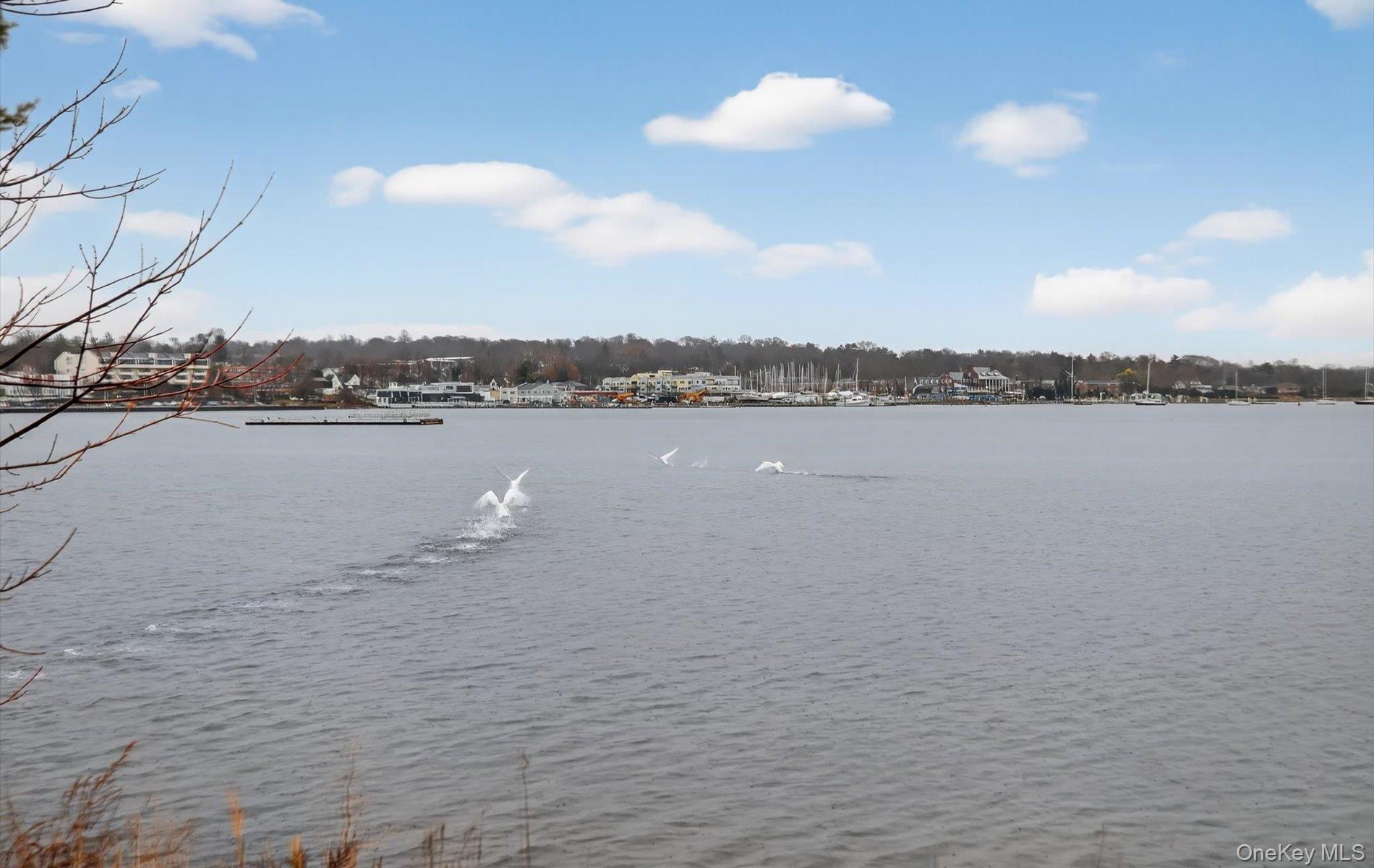 1 Toms Point Lane # 6J, Port Washington, NY 11050