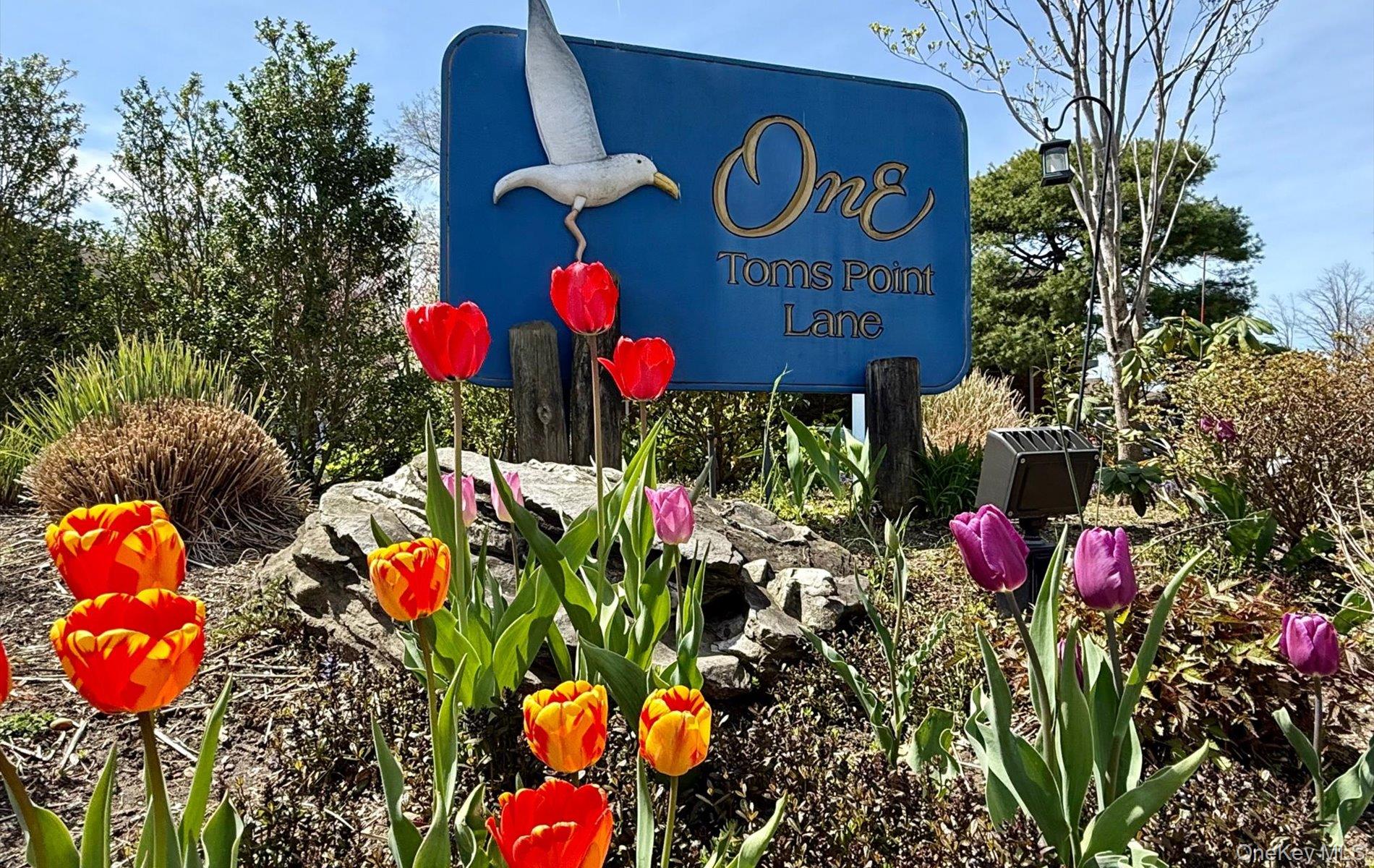 1 Toms Point Lane # 6J, Port Washington, NY 11050