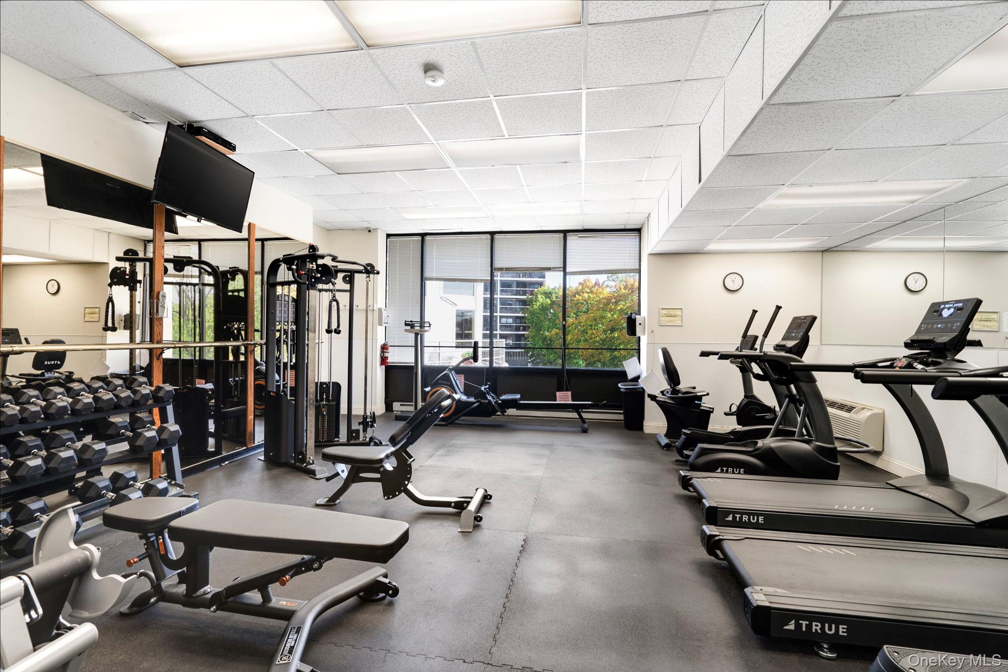 400 High Point Drive # 408, Hartsdale, NY 10530