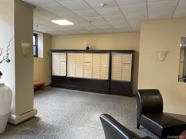 100 Clinton Avenue # 4P, Mineola, NY 11501