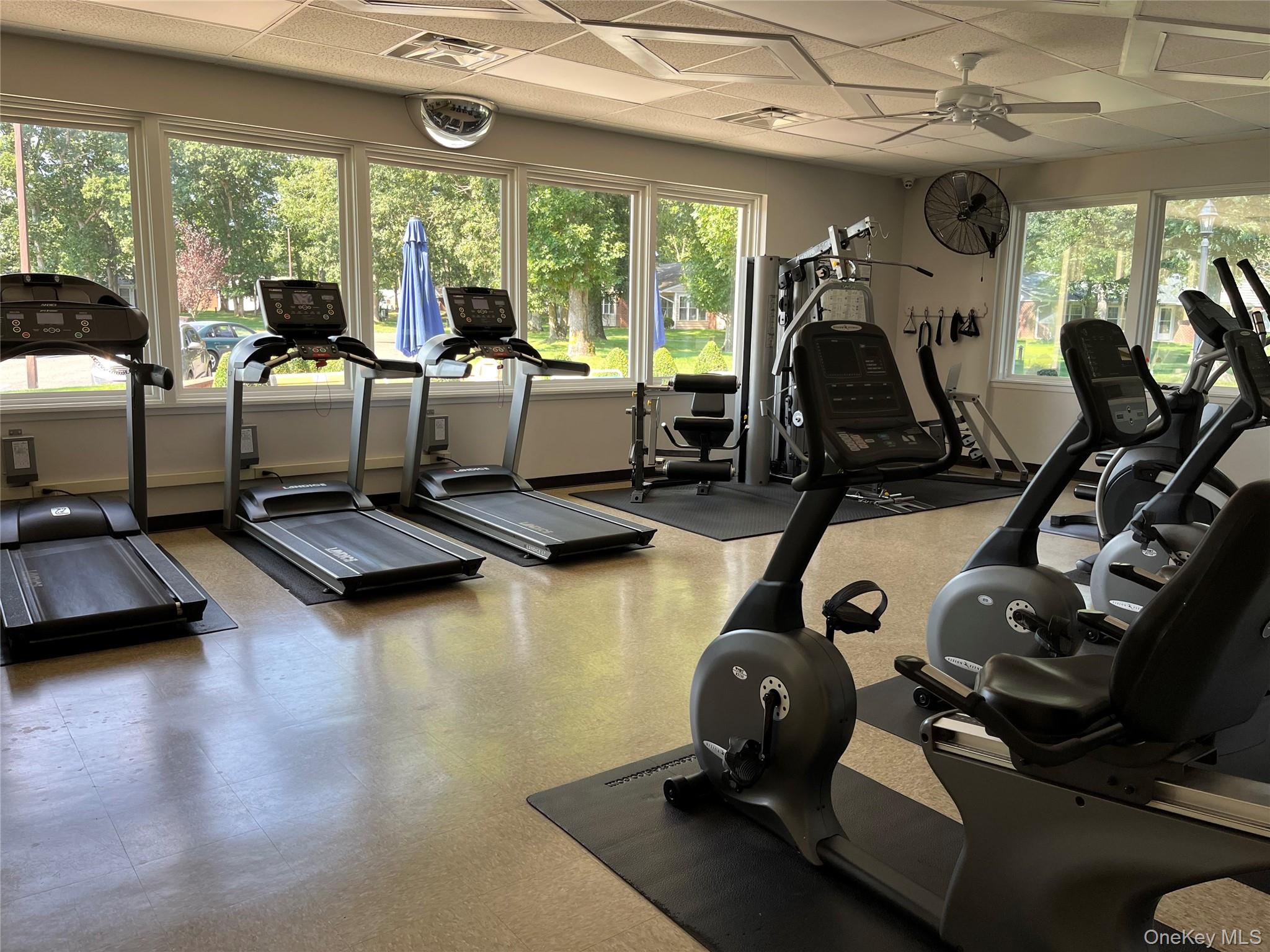 373 Woodbridge Drive # B, Ridge, NY 11961