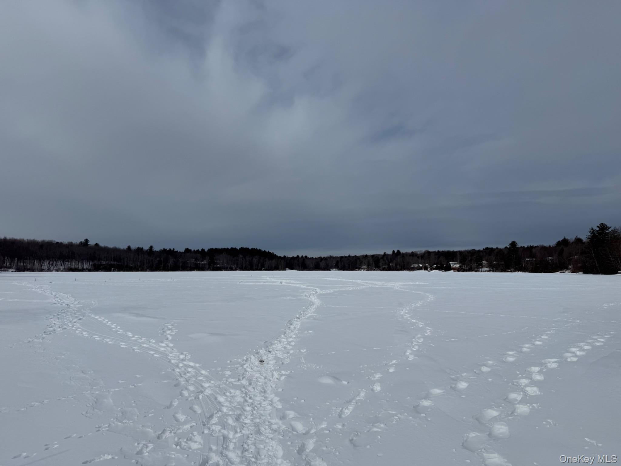 4 Ray Lane, Loch Sheldrake, NY 12733