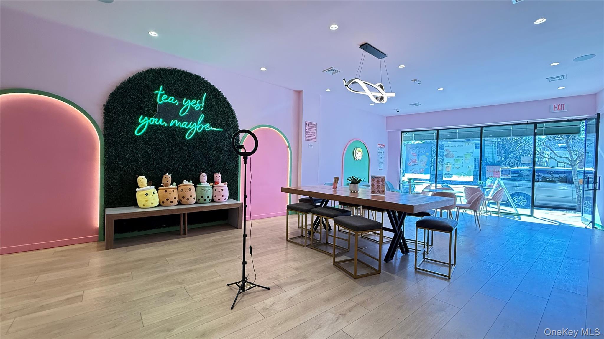 74A & 74 Hillside Avenue, Williston Park, NY 11596