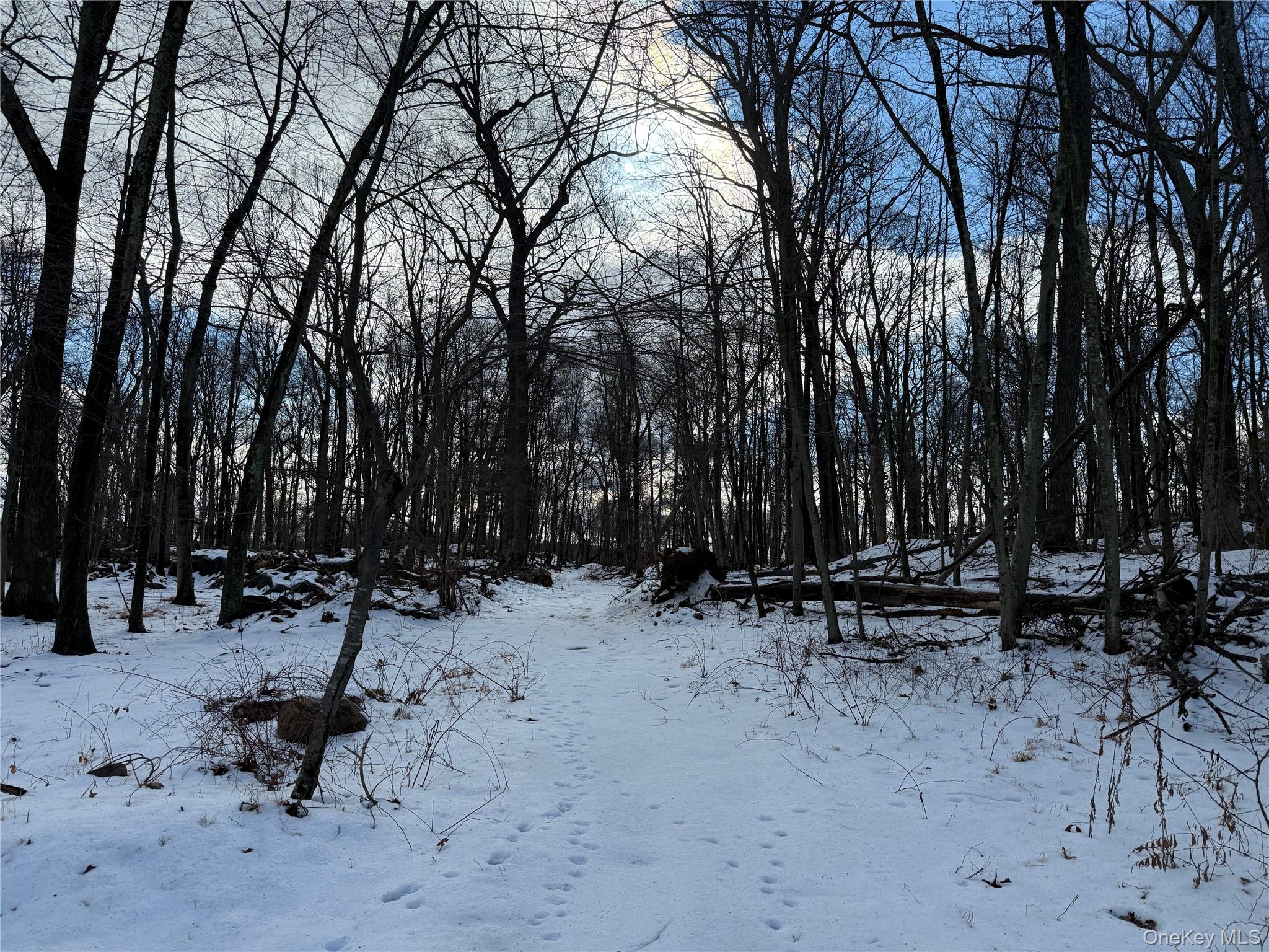 8 Maple Ridge Trail, North Salem, NY 10560